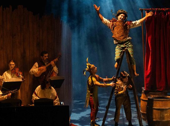 Le Carnaval Baroque © Laurent Guizard